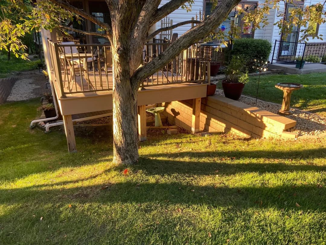 Outdoor backyard scene featuring a wooden deck, a tree, and landscaped steps with decorative plants.
