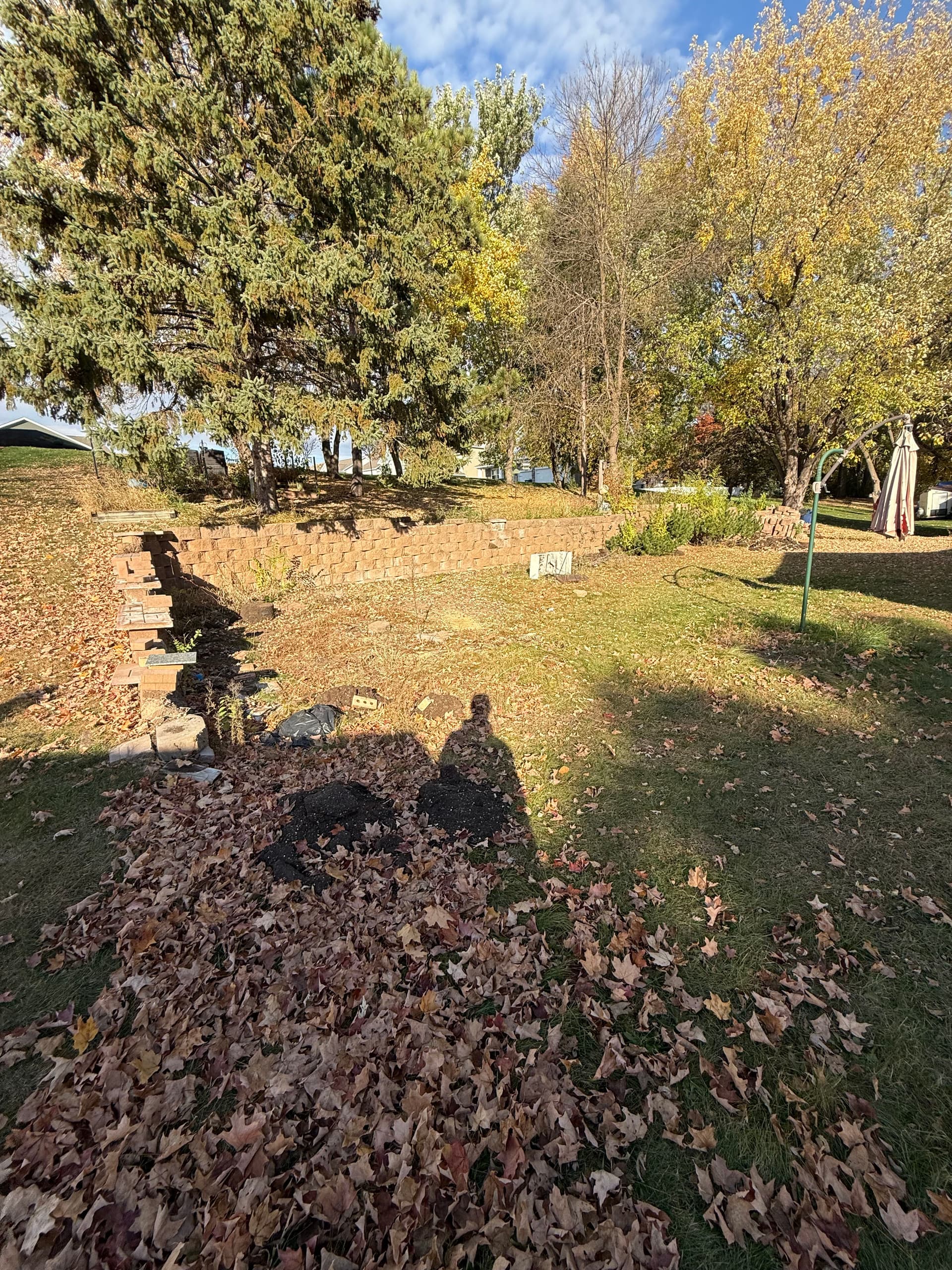 From Muddy Backyard to Full Outdoor Living Space image