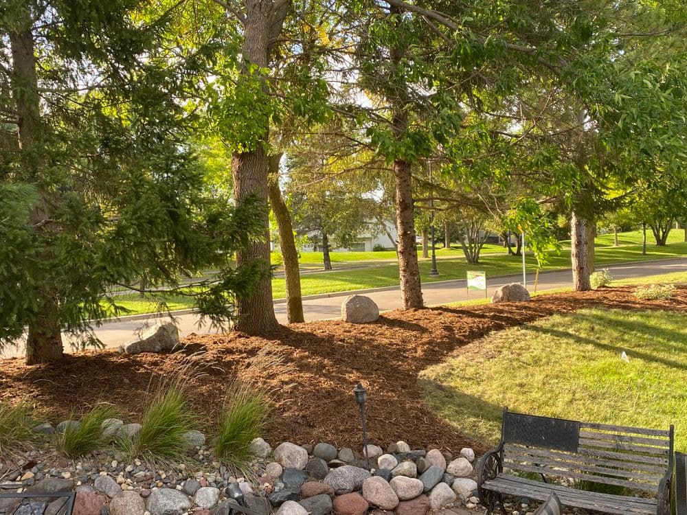 Lush garden with trees, rocks, and mulch, creating a serene landscape view.