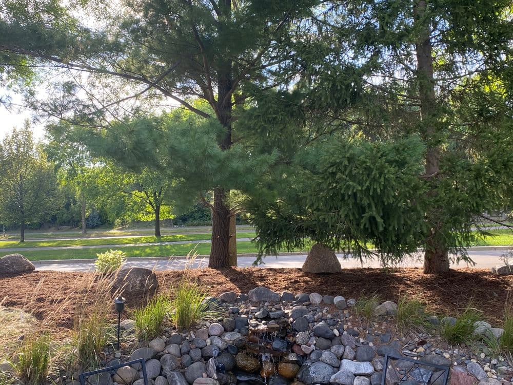 Scenic view of a tranquil garden with a water feature, trees, and natural landscaping.