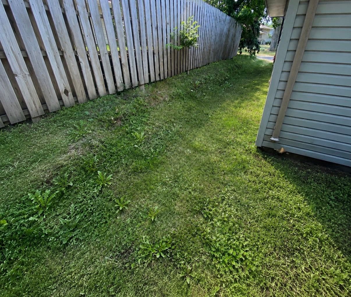 Sloped Side Yard Turned Into a Lit Walkway and Retaining Wall image